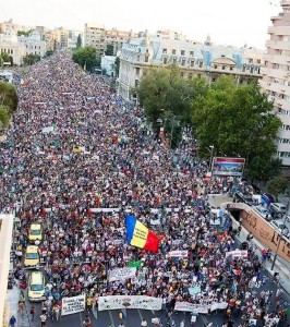 1231637_656188921080242_1237531904_n