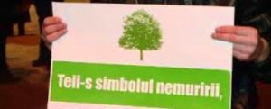 Avem tei de replantat și un parc de apărat!