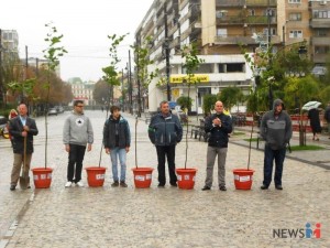 TEII SE ÎNTORC ACASĂ